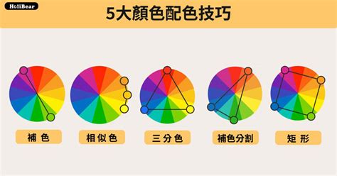 顏色運用|設計色彩學系列｜你一定要知道的5大配色手法：補色 